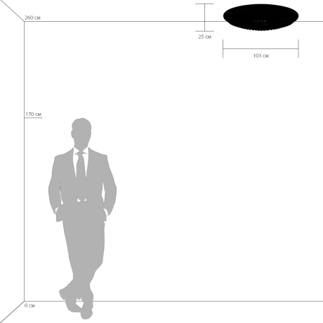 704212 Потолочная люстра Lightstar Monile 