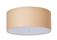 Потолочный светильник ТопДекор Relax P2 10 09g