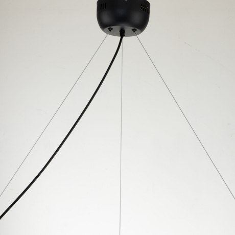 Подвесная люстра Favourite Light point с поддержкой Алиса 2997-9P-A 