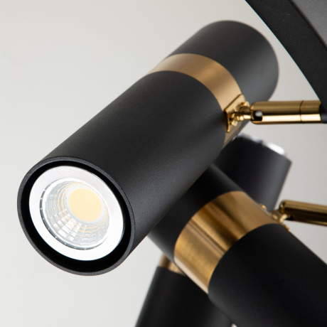 Подвесная люстра Favourite Light point с поддержкой Алиса 2997-9P-A 