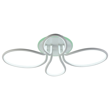 Потолочная светодиодная люстра с пультом ДУ Profit Light 6009/2+2A WHT 