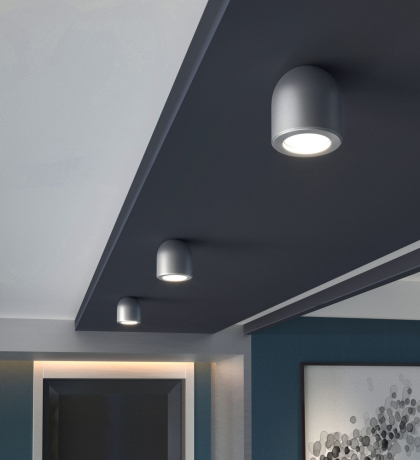 Светильник накладной Elektrostandard Ogma DLN116 GU10 серебро (a050674) 