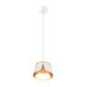 Подвесной светильник Arte Lamp Amaks A8028SP-1WH 