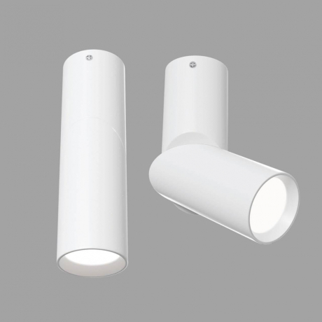 C027CL-L10W Накладной потолочный светильник Maytoni Dafne 