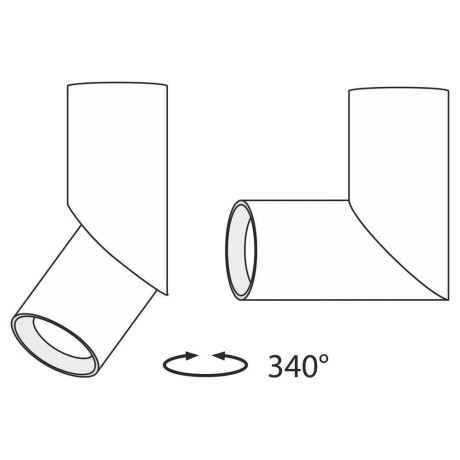 C027CL-L10W Накладной потолочный светильник Maytoni Dafne 