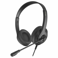 Наушники с микрофоном (гарнитура) A4TECH Fstyler FH100U, проводные, 2 м, USB, черные, 1774509 (513933)