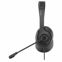Наушники с микрофоном (гарнитура) A4TECH Fstyler FH100U, проводные, 2 м, USB, черные, 1774509 (513933)