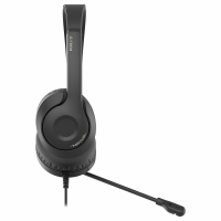 Наушники с микрофоном (гарнитура) A4TECH Fstyler FH100U, проводные, 2 м, USB, черные, 1774509 (513933)