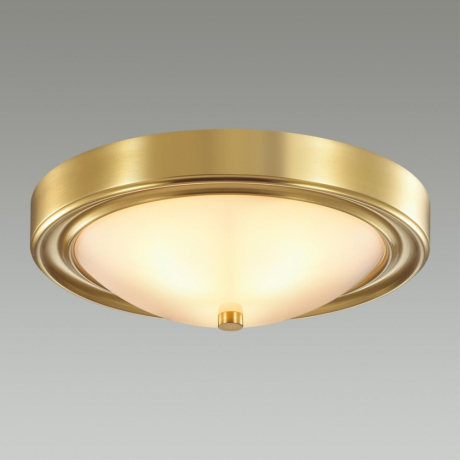 Настенно-потолочный светильник Lumion Nina 5259/2C 