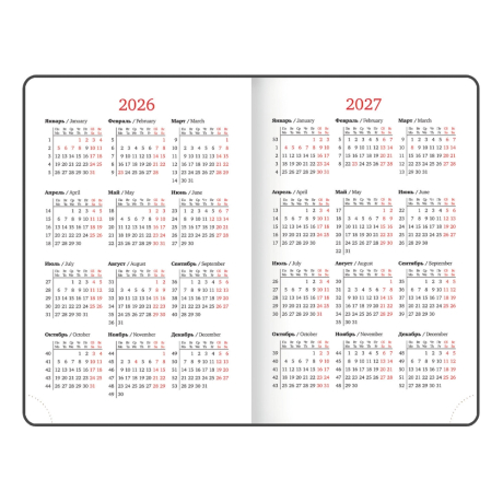 Нарушена упаковка!  <795271> Ежедневник датированный 2026, МАЛЫЙ ФОРМАТ 100х150 мм, А6, BRAUBERG "Select", балакрон, розовый, 117262