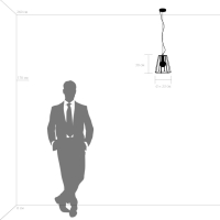 798121 (MD7961-1E) Подвесной светильник Lightstar Genni