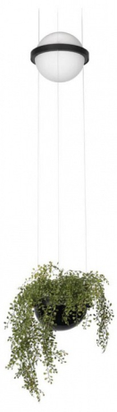 Подвесной светильник Loft it Jardin 10121/B 