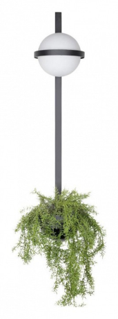 Бра Loft it Jardin 10121W/B 