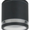 Накладной светильник Arte Lamp Nunki A1910PF-1BK