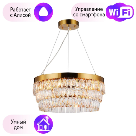 Подвесная люстра Favourite Magnitudo с поддержкой Алиса 2206-12P-A 