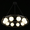 Люстра подвесная Aployt Mahot APL.317.03.10 
