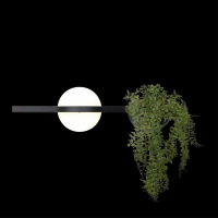 Бра Loft it Jardin 10121W/A