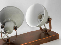 LSP-9829 Спот Lussole Loft Diana