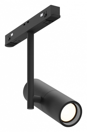 Светильник на штанге Maytoni Technical Elti TR005-2-12W4K-B 