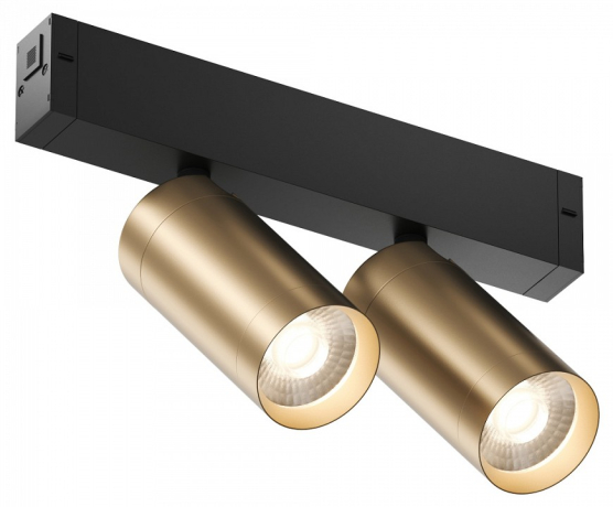 Светильник на штанге Denkirs Smart DK8012-BG 