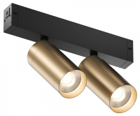 Светильник на штанге Denkirs Smart DK8012-BG