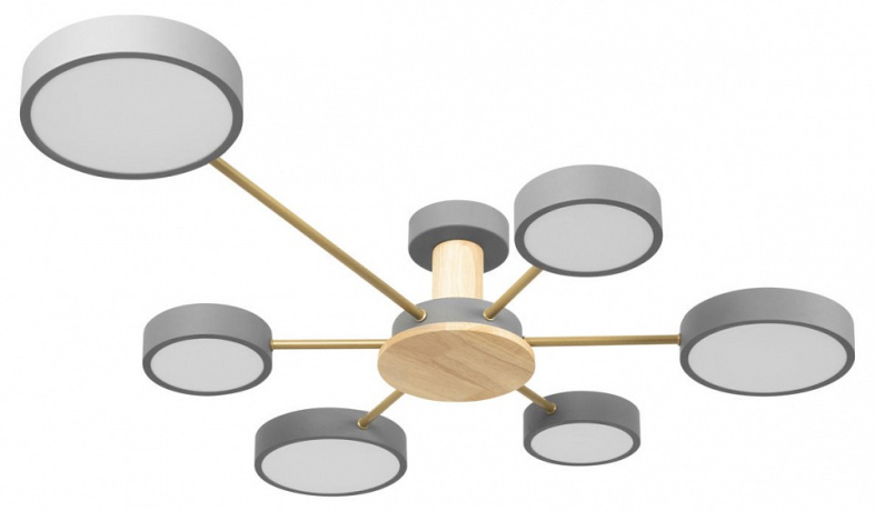 Потолочная люстра Loft it Sunrise 10316/6 Grey 