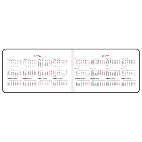 Нарушена упаковка!  <795224> Еженедельник датированный 2026 МАЛЫЙ ФОРМАТ 105х160 мм, А6, BRAUBERG "Blaze", фольга, розовый, 117215