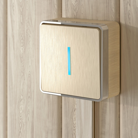 Выключатель одноклавишный с подсветкой Werkel Gallant (шампань рифленый) W5010110