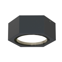 Накладной светильник Favourite Fantum 4667-1U