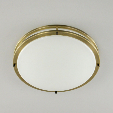 Настенно-потолочный светильник Citilux Бостон CL709503N 