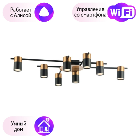 Потолочная люстра Favourite Topper с поддержкой Алиса 2825-8P-A 