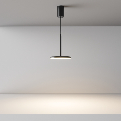 Подвесной светильник Maytoni Technical Plato P076PL-L12W3K-B