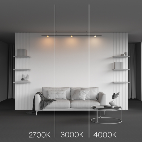 Накладной светильник Maytoni Technical Luna TR185-1-3W3K-B 