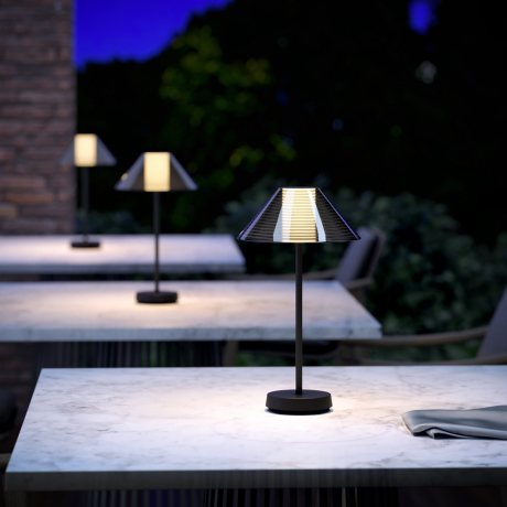 Настольная лампа Elektrostandard Mistery TL70210 черный (a062381) 