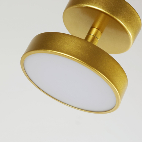 Потолочный светильник F-Promo Atma 3059-1P 