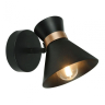 A1406AP-1BK Спот Arte Lamp BALTIMORE 