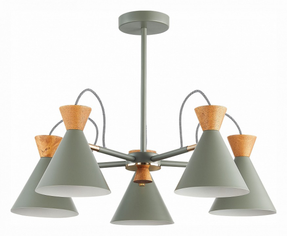 Люстра на штанге EVOLUCE Modica SLE125112-05 