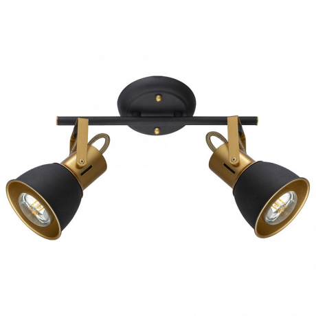 Спот Arte Lamp Jovi A1677PL-2GO 