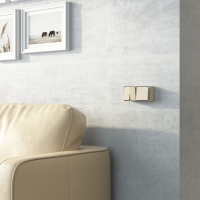 Выключатель одноклавишный Gallant (шампань рифленый) Werkel W5010010