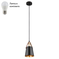 Подвесной светильник с лампочкой Arte lamp A7032SP-1BK+Lamps