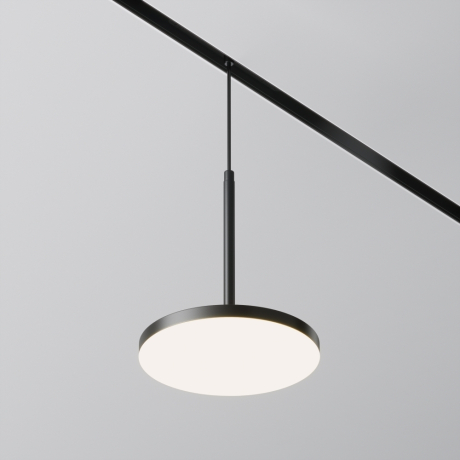 Подвесной светильник Maytoni Technical Plato TR123-2-15W4K-B 