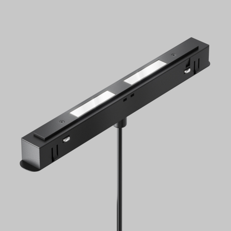 Подвесной светильник Maytoni Technical Plato TR123-2-15W4K-B 
