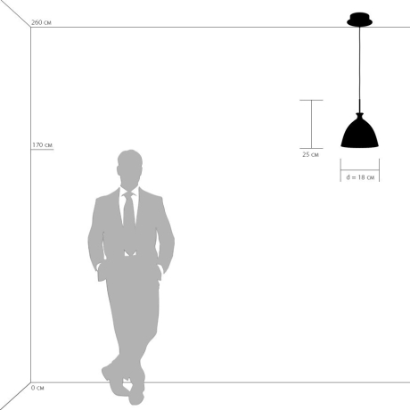 810020 Подвесной светильник Lightstar Simple light 810 