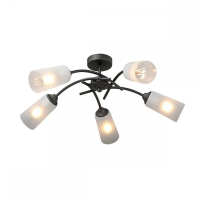 Потолочная люстра Vitaluce V2850-1/5PL