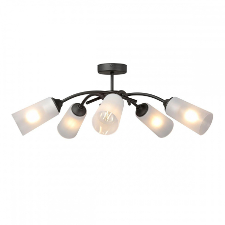 Потолочная люстра Vitaluce V2850-1/5PL 