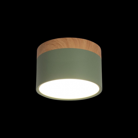 Накладной светодиодный светильник Loft IT Grape 10162 Green 