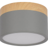 Накладной светильник Loft it Grape 10162 Grey 