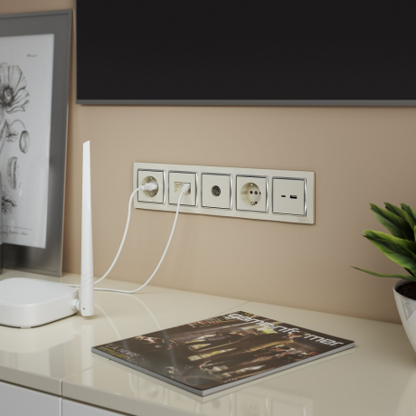 Розетка двойная Ethernet RJ-45 (слоновая кость) Werkel W1181103