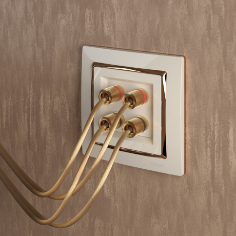 Рамка на 1 пост (слоновая кость/золото) Werkel W0011932