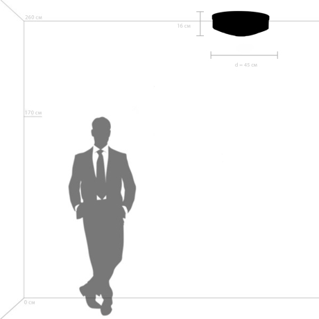 Светильник потолочный с Led лампочками в комплекте Lightstar 720227+Lamps 